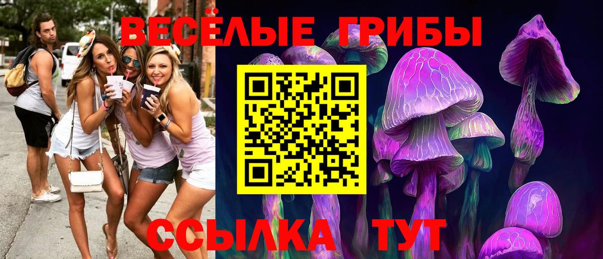 Псилоцибиновые грибы MAGIC MUSHROOMS  Вход с VPN  Галлюциногенные грибы мухоморы  Людиново 