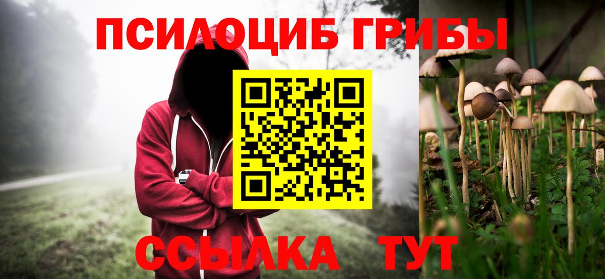 Псилоцибиновые грибы MAGIC MUSHROOMS Людиново