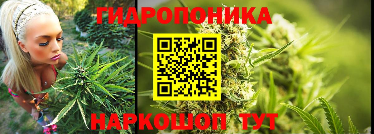 Конопля сатива  Каннабис White Widow  МАРИХУАНА Amnesia  Вход с VPN  Людиново 